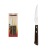 Набір ножів для стейка TRAMONTINA Barbecue Polywood, 101.6 мм - фото №1