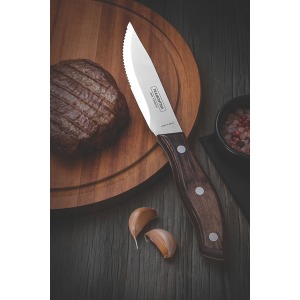 Набір ножів TRAMONTINA Barbecue Polywood, 4 предмети - фото №5